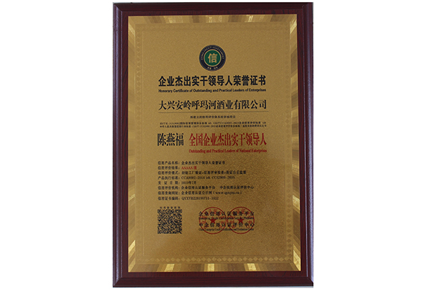全國企業(yè)杰出實干領(lǐng)導(dǎo)人